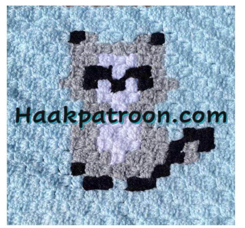 Haakpatroon Wasbeertje  23cm x 23 cm (L2.1)