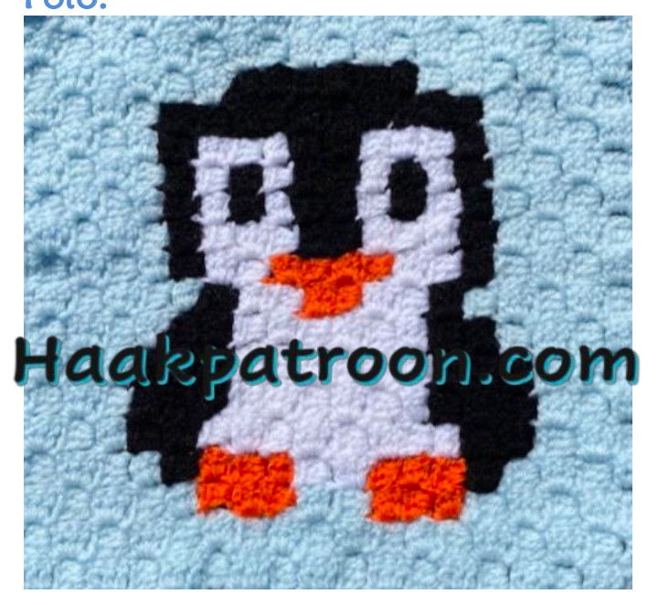 Haakpatroon De Kleine Pinguin 23cm x 23cm (L2.10)