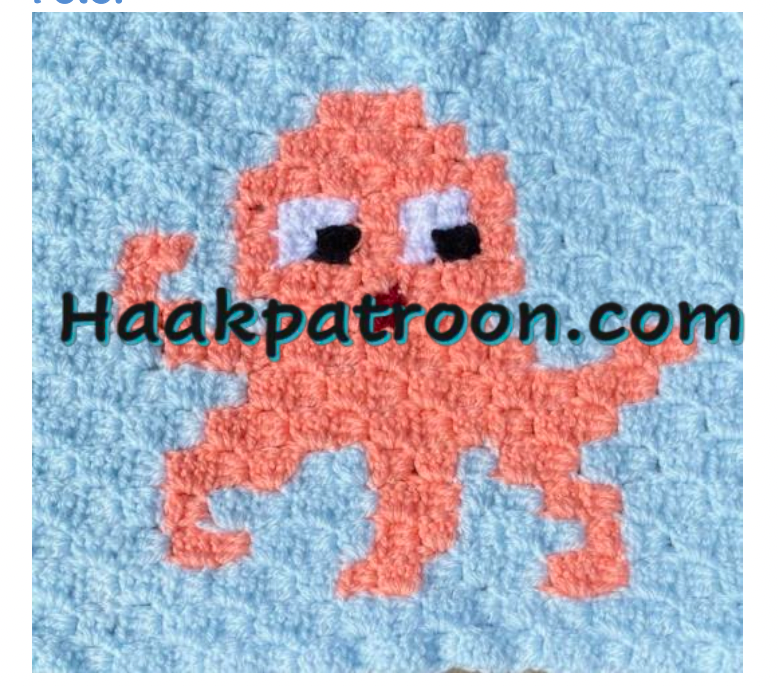 Haakpatroon Het Inktvisje  23cm x 23cm (L2.2)