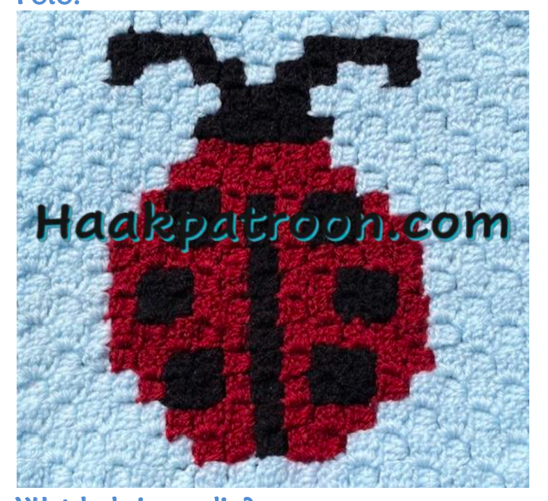 Haakpatroon Het Lieveheersbeestje 23cm x 23cm (L2.25)