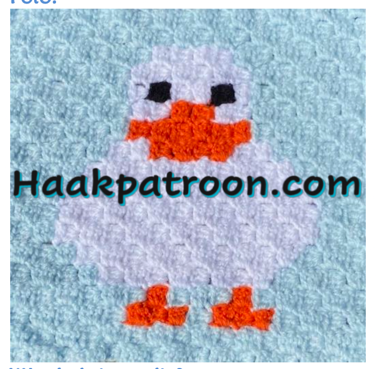 Haakpatroon De Witte Eend 23cm x 23cm (L2.27)