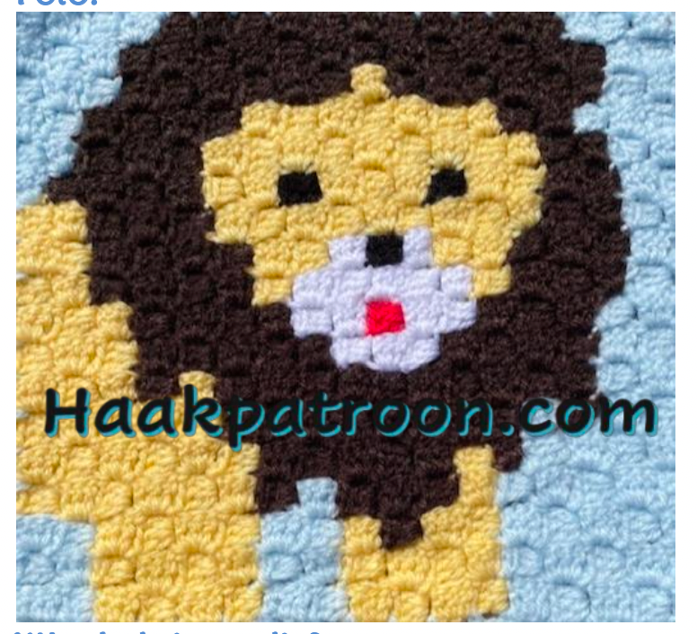 Haakpatroon De Leeuw 23cm x 23cm (L2.28)