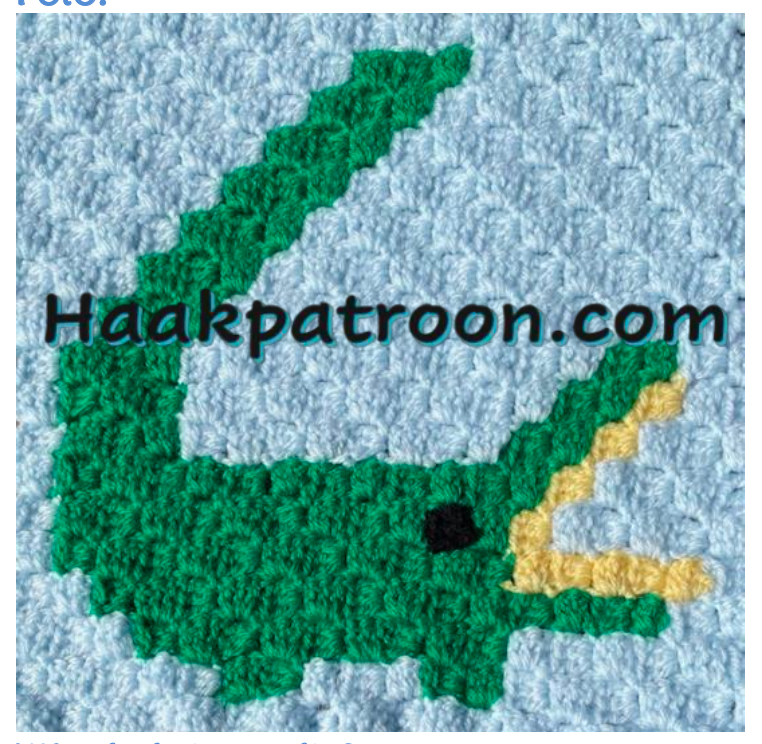 Haakpatroon De Krokodil 23cm x 23cm (L2.32)