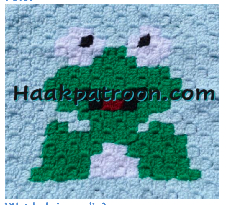 Haakpatroon De Kikker 23cm x 23cm (L2.36)