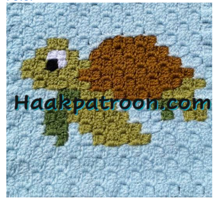 Haakpatroon Het Schildpadje 23cm x 23cm (L2.4)