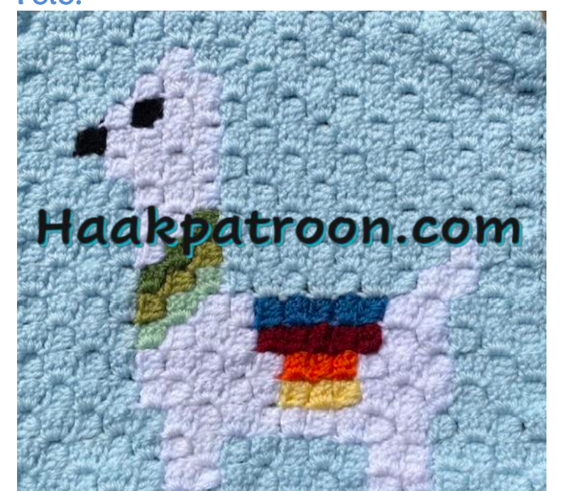 Haakpatroon De Lama 23cm x 23cm (L2.5)